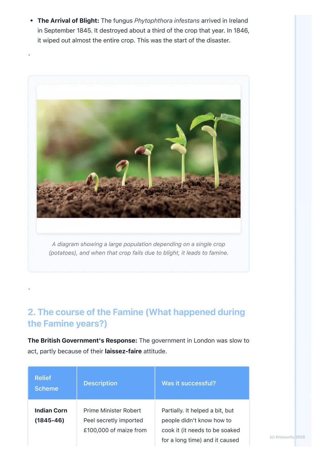 # The Great Famine (An Gorta
Mór)

## Introduction to the Great Famine

The Great Famine, or An Gorta Mór (The Great Hunger), was a period o