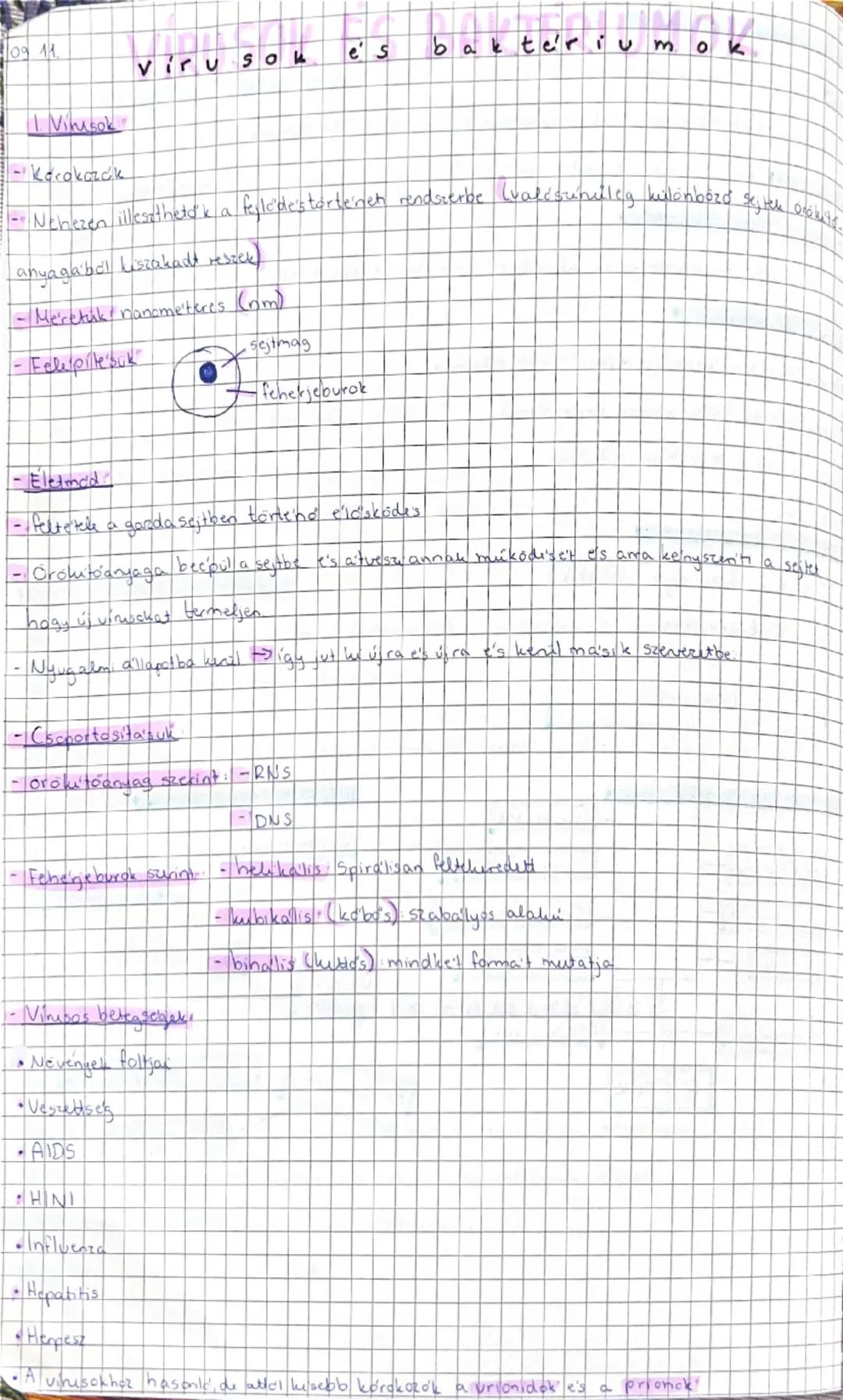 09 11
# viru sok es baktériumok

1.  Visok

- Kacakarók

- Nehezen illeszthetska ferlede'starte'net rendszerbe (valdsunuleg különbözd sejtek