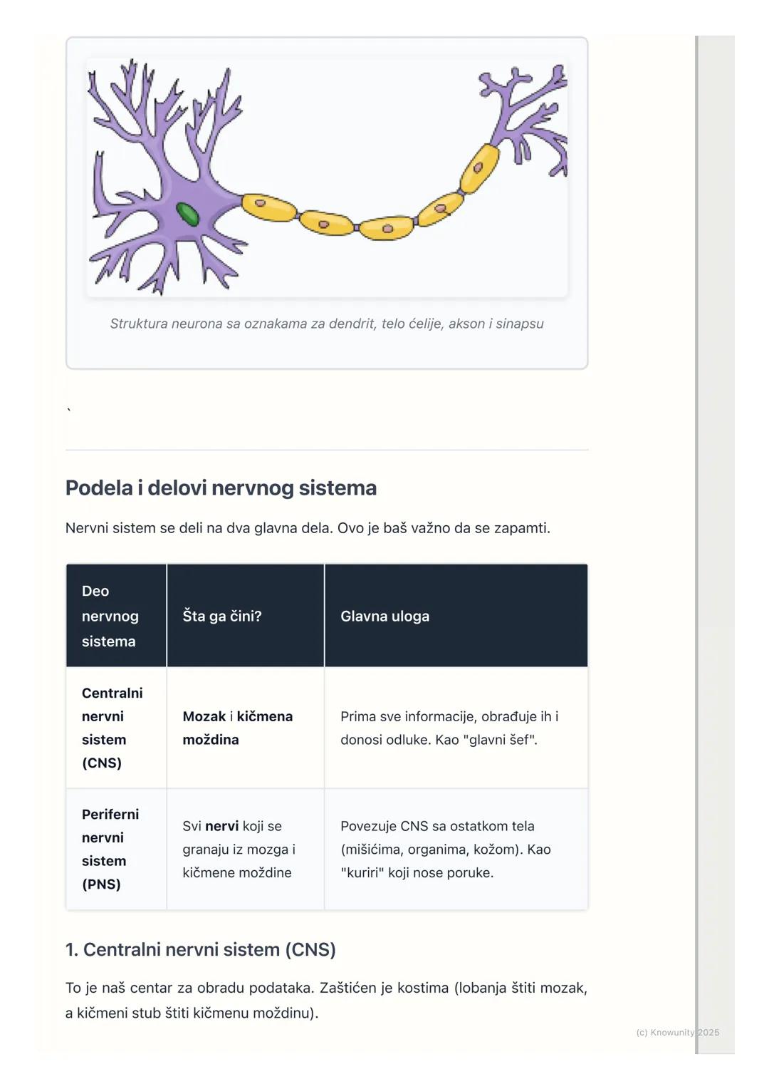 # Nervni sistem

Uvod u nervni sistem

Nervni sistem je najsloženiji sistem u našem telu. On je kao glavni kompjuter ili
komandni centar koj