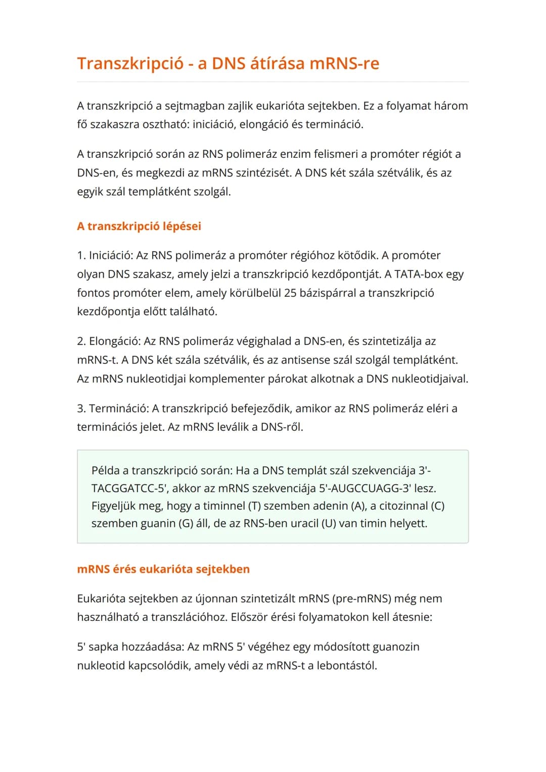 A fehérjeszintézis folyamata:
DNS-től a fehérjéig
A fehérjeszintézis lépései: transzkripció és transzláció
Biológia • Grade 11 • Hungary
Tan