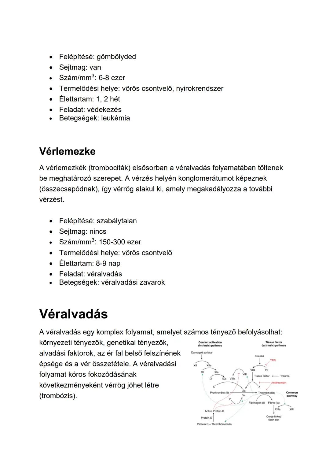 A vér
Fő feladatai az oxigén, a szén-dioxid, a tápanyagok, a víz, valamint az oldott
anyagcseretermékek szállítása. Ezen kívül fontos szerep