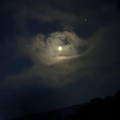 user profile picture