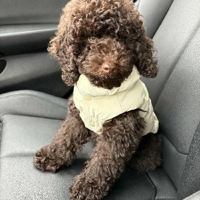 user profile picture
