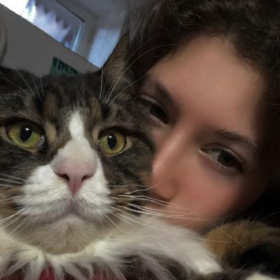 user profile picture