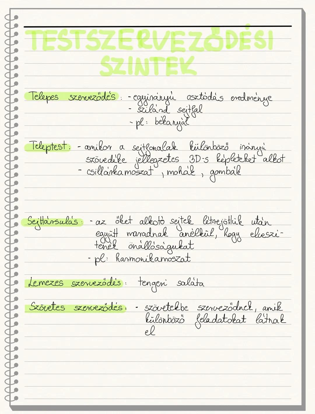 ETOLÓGIA
Önöklött magatartásformák
- a születés pillanatától a faj összes egyedénél
meglévő viselkedési és magatartási formák
- formaállandó