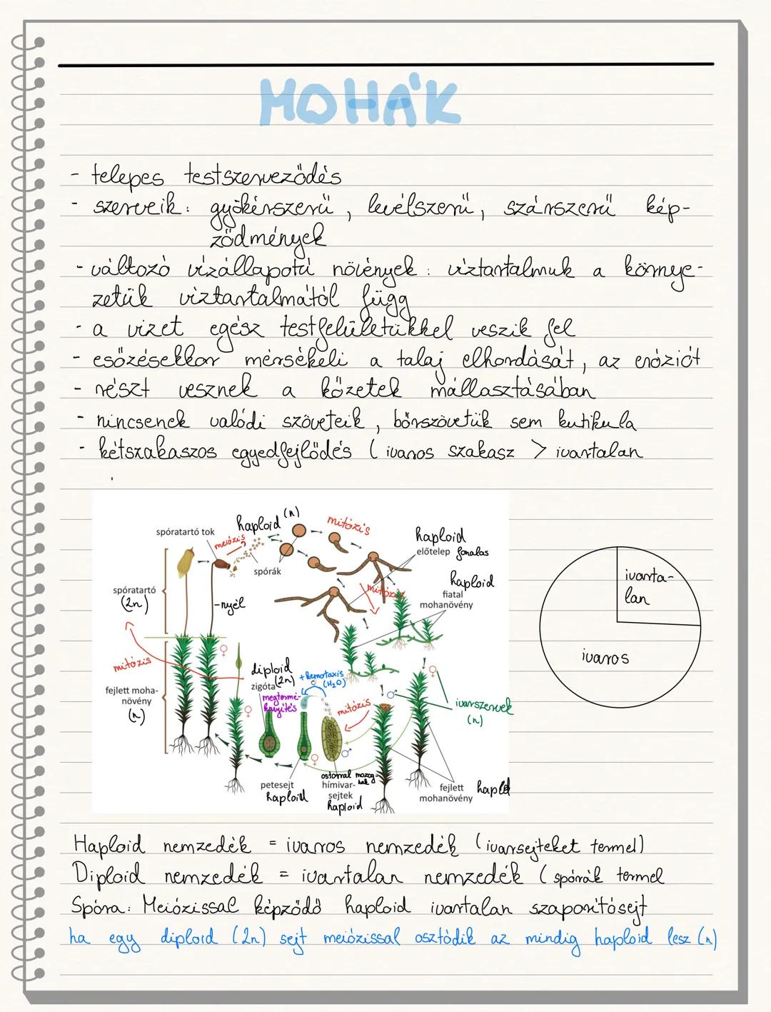 ETOLÓGIA
Önöklött magatartásformák
- a születés pillanatától a faj összes egyedénél
meglévő viselkedési és magatartási formák
- formaállandó