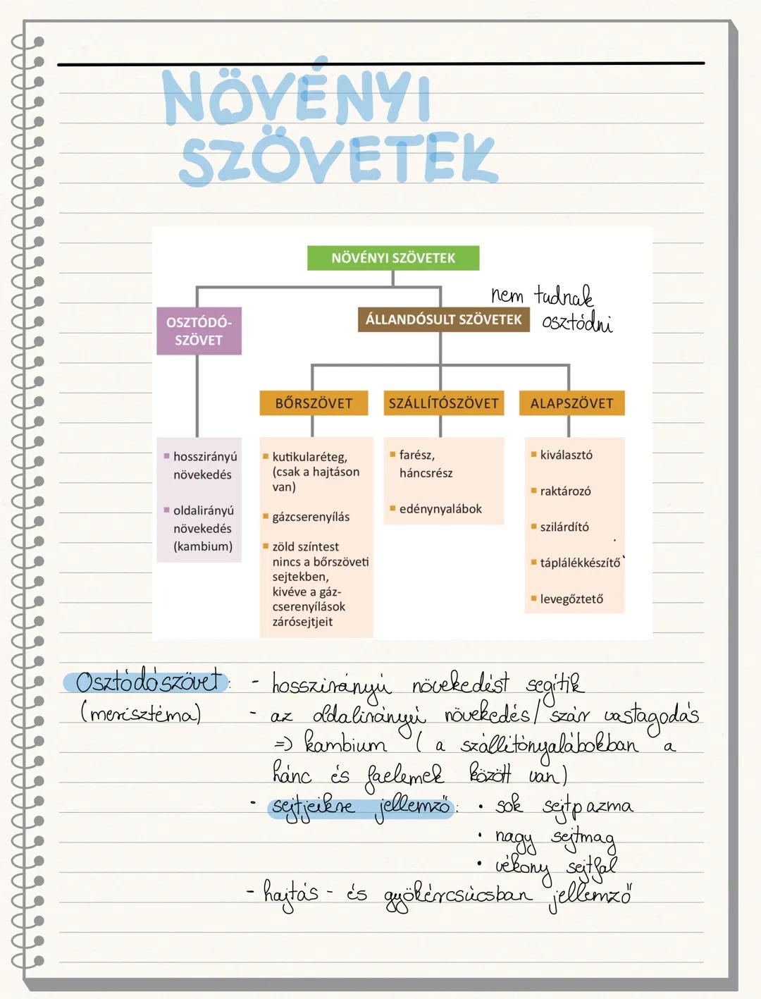 ETOLÓGIA
Önöklött magatartásformák
- a születés pillanatától a faj összes egyedénél
meglévő viselkedési és magatartási formák
- formaállandó