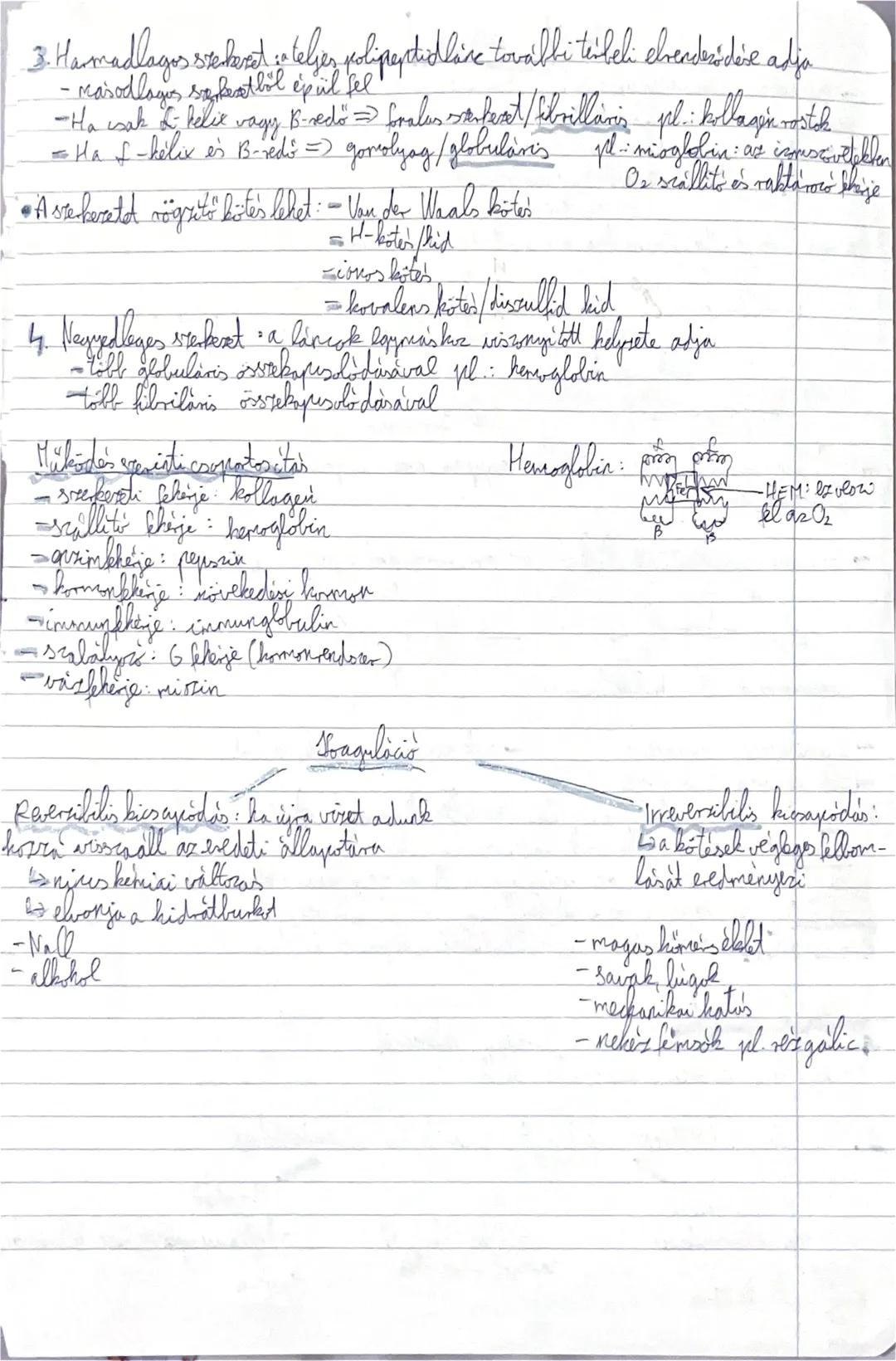 31. A klijek
--aminosavakból épülnek fel: aminocsoport + karboxilcsoport tartalmazó
steres, kisméretű molekulák
a természetben 20 féle amino