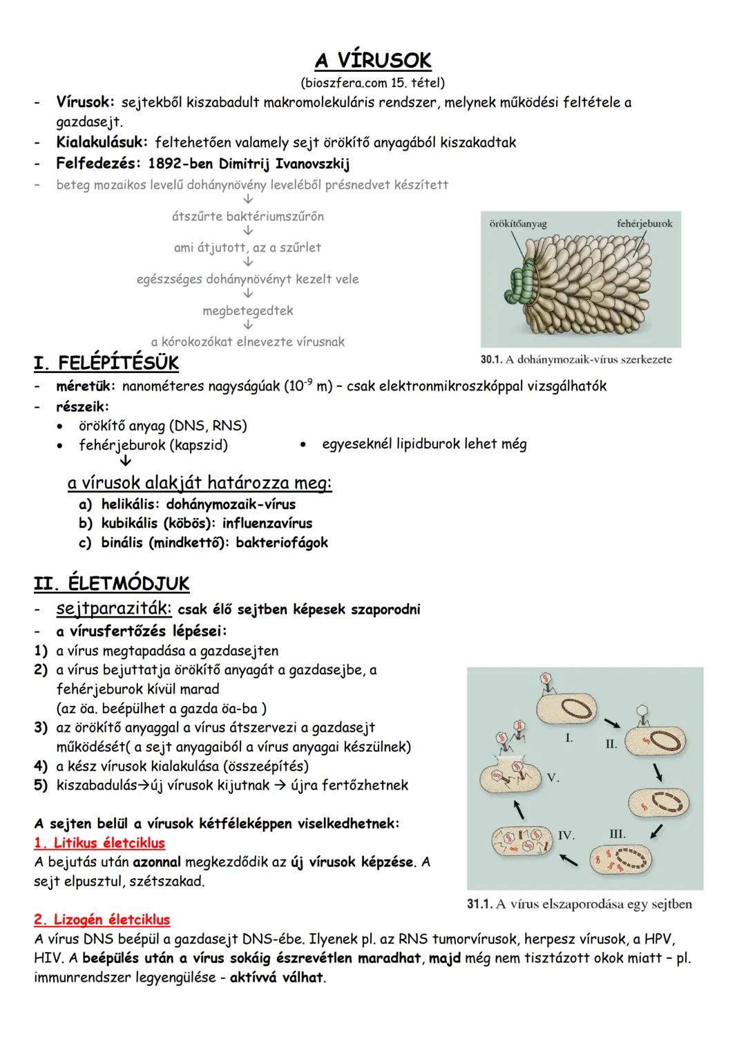 A VÍRUSOK
(bioszfera.com 15. tétel)
Vírusok: sejtekből kiszabadult makromolekuláris rendszer, melynek működési feltétele a
gazdasejt.
Kialak