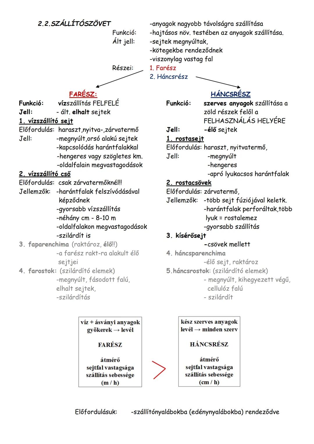 Csoportosítás:
1. OSZTÓDÓSZÖVETEK
2. ÁLLANDÓSULT SZÖVETEK:
1. BŐRSZÖVET
2. SZÁLLÍTÓSZÖVET
3. ALAPSZÖVET:
NÖVÉNYI SZÖVETEK
3.1.TÁPLÁLÉKKÉSZÍT