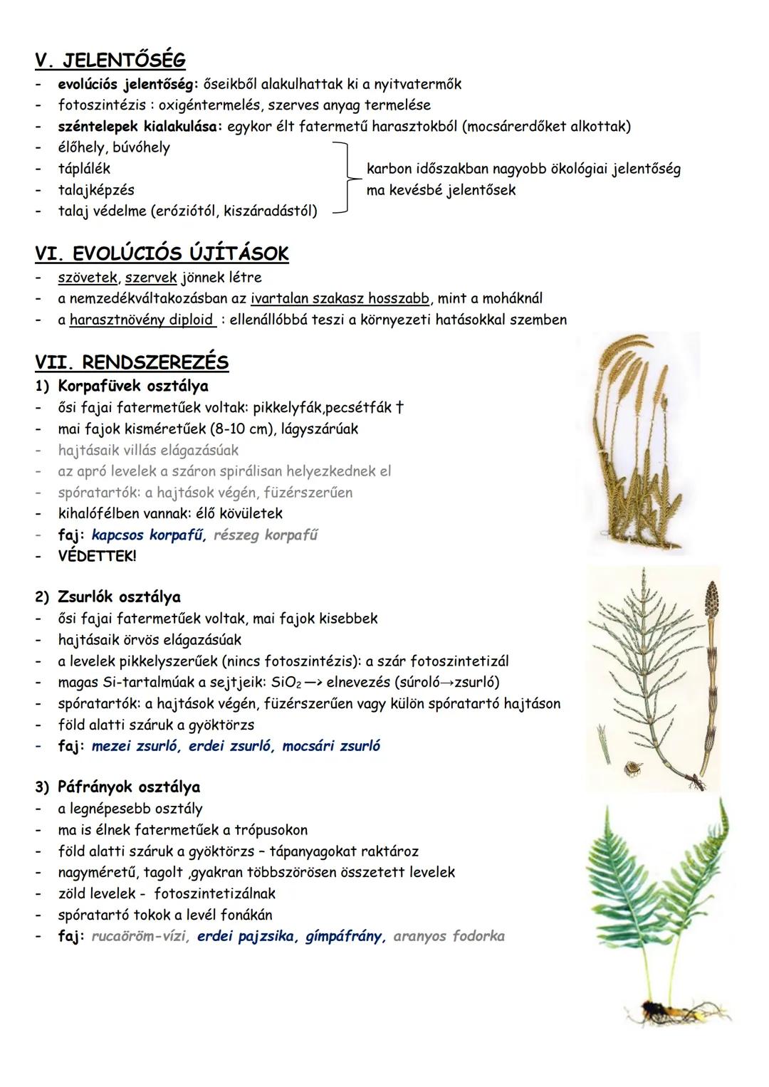 I. SZÁRMAZÁS
ősi zöldmoszatoktól, melyek a tengerek ár-apály zónáiban éltek (mint a mohák)
kb 400 millió éve jelentek meg (ősharasztok)
II