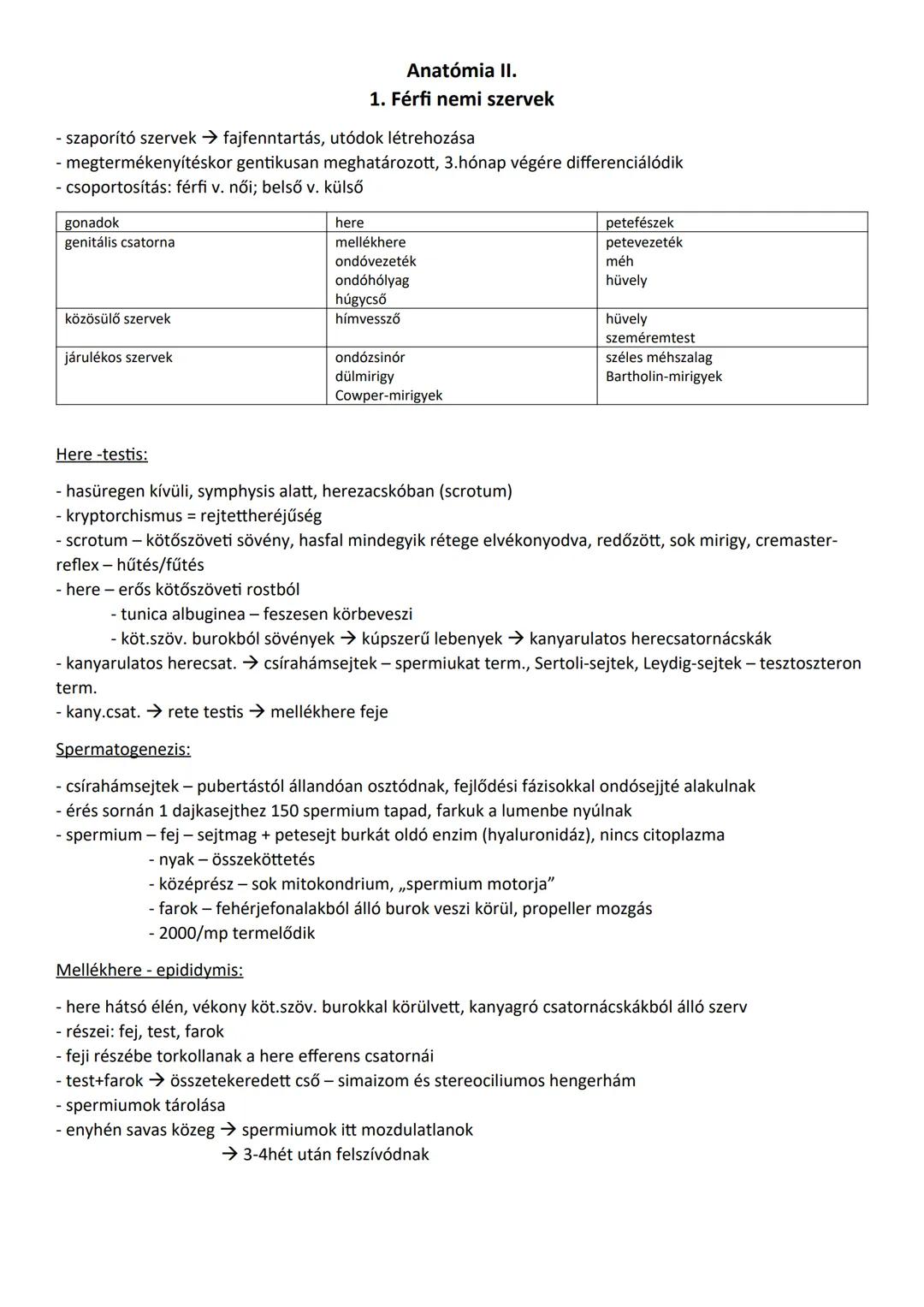 Anatómia II.
1. Férfi nemi szervek
- szaporító szervek → fajfenntartás, utódok létrehozása
- megtermékenyítéskor gentikusan meghatározott, 3