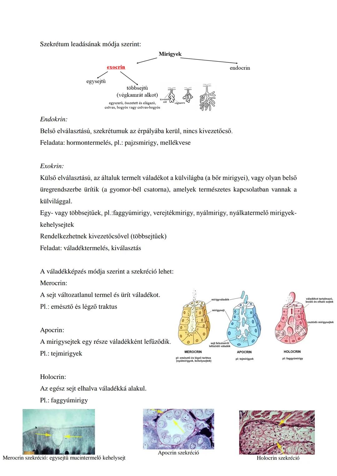 ANATÓMIA I.
1. TÉTEL
SZÖVETTAN: HÁMSZÖVETEK
(CSOPORTOSÍTÁS, ELNEVEZÉS ALAPJA, FEDŐHÁMOK, MIRIGYHÁM,
PIGMENTHÁM, ÉRZÉKHÁM JELLEMZÉSE ÉS ELŐFO