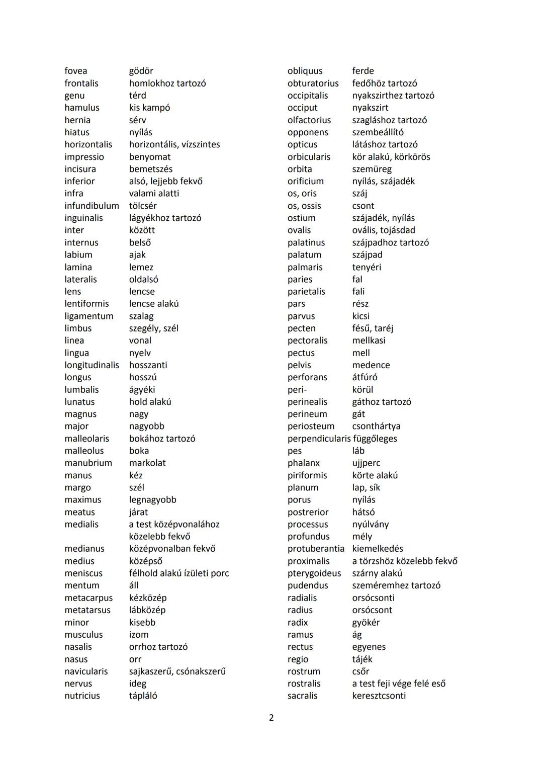 A legfontosabb anatómiai fogalmak
latin - magyar szószedet
(Összeállította: Dr. Hajdu Ferenc)
abdomen
has
condylus
ízületi felszínt hordozó