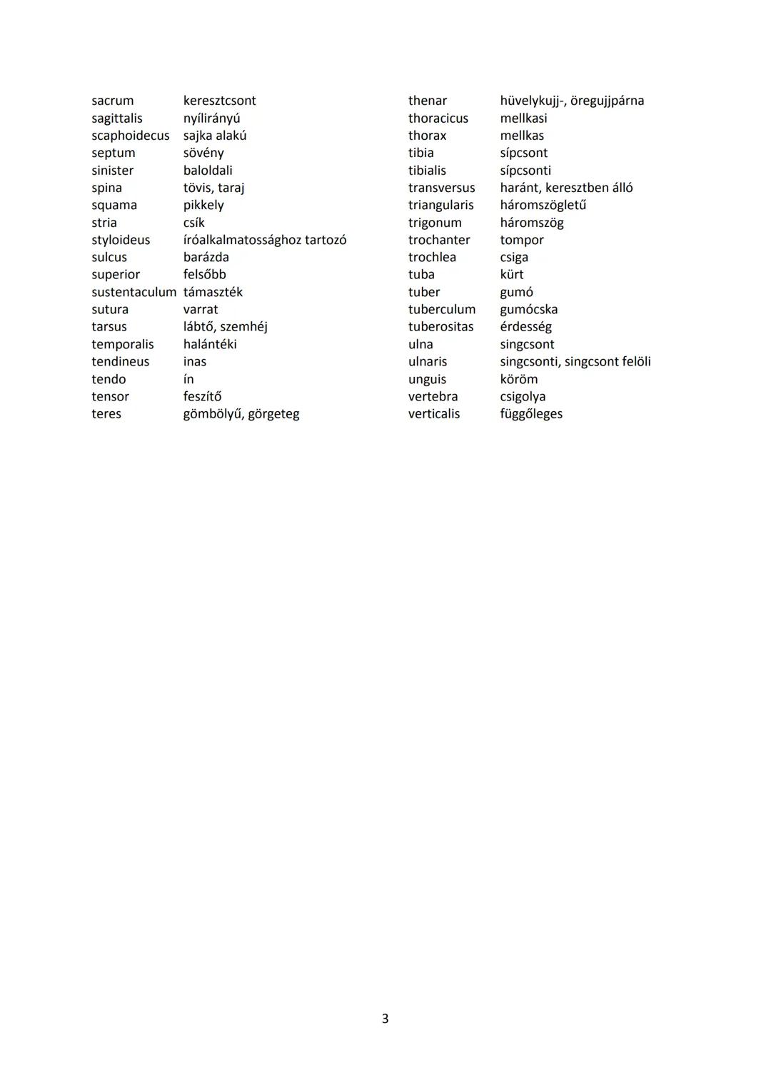 A legfontosabb anatómiai fogalmak
latin - magyar szószedet
(Összeállította: Dr. Hajdu Ferenc)
abdomen
has
condylus
ízületi felszínt hordozó