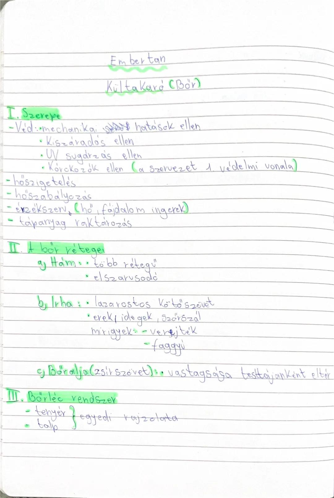 Embertan, kültakaró (bőr)