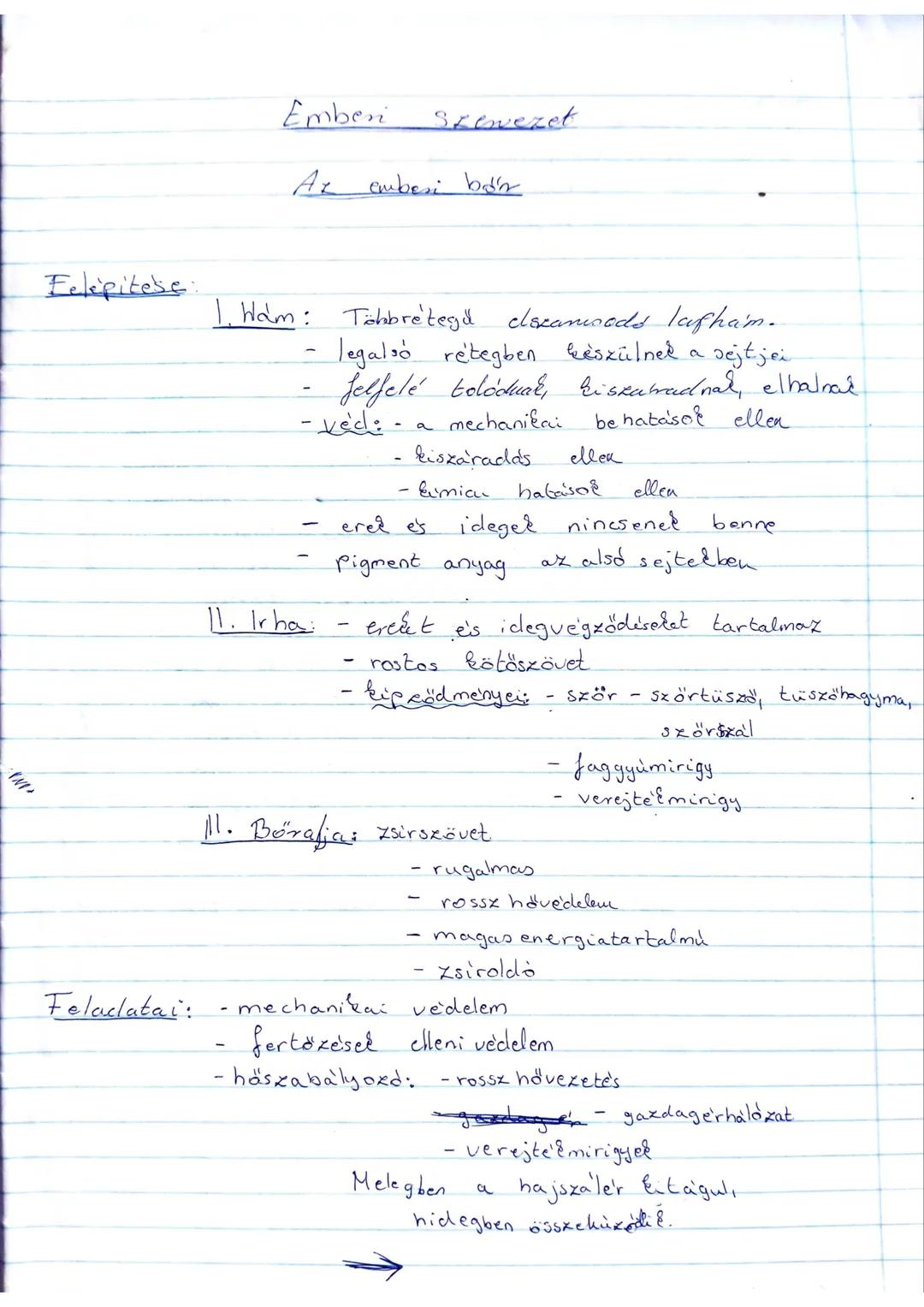 ## Emberi szövet
## Az emberi bőr
### Felépítése
**I. Hám:** Többrétegű laphám.
- legalsó rétegben készülnek a sejtek
- felfelé tolódnak,