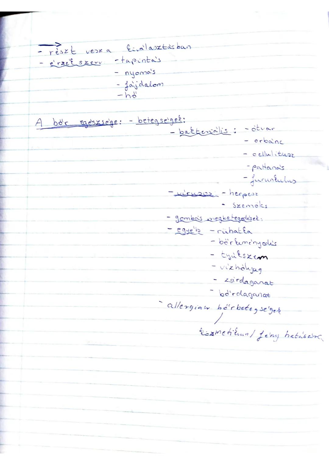 ## Emberi szövet
## Az emberi bőr
### Felépítése
**I. Hám:** Többrétegű laphám.
- legalsó rétegben készülnek a sejtek
- felfelé tolódnak,