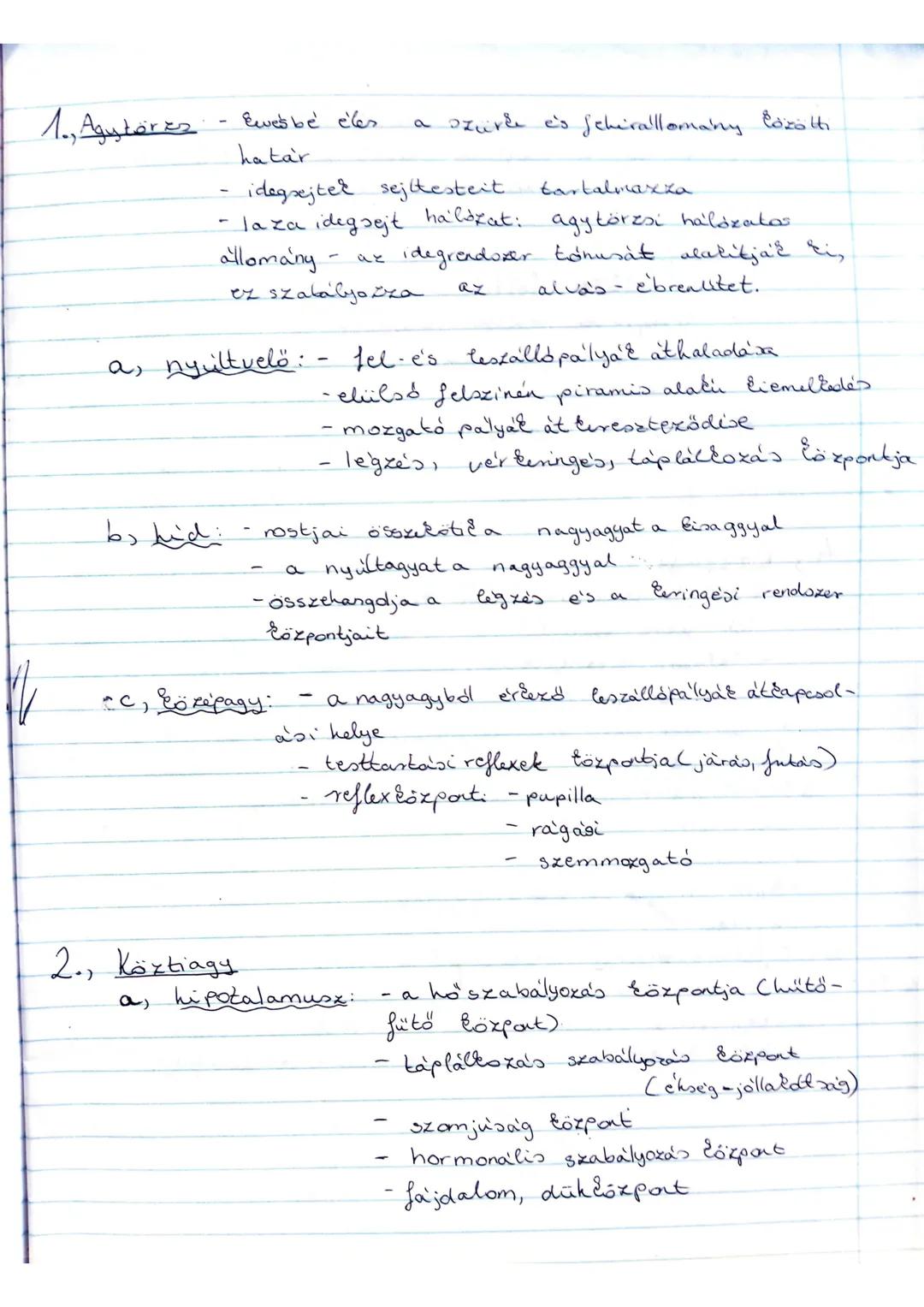 --- OCR Start ---
Idegrendszer
Központi idegrendszer:
agy
genircielő
agyidegek
genincuelői
idegek
érződuc
érződuc
vegetativduc
Szomatikus
-a