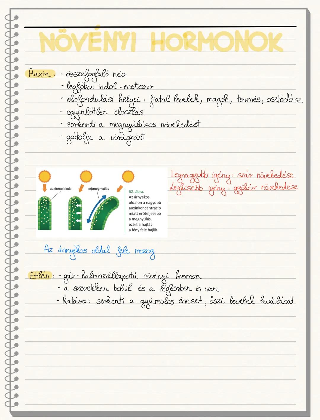 NYITVATERMOK
- új szervek: virág, módosult levelekből álló, korlátolt növekedésű
szaportóhajtás
- mag: virágos növények magkezdeményéből fej