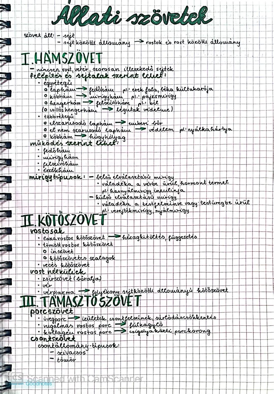 Allati szövetek
szövet áll: - sejt
sejt közötti állomány → rostok és rost közötti állomány
I.HAMSZÖVET
- nincsen rost, vétek, szorosan illes