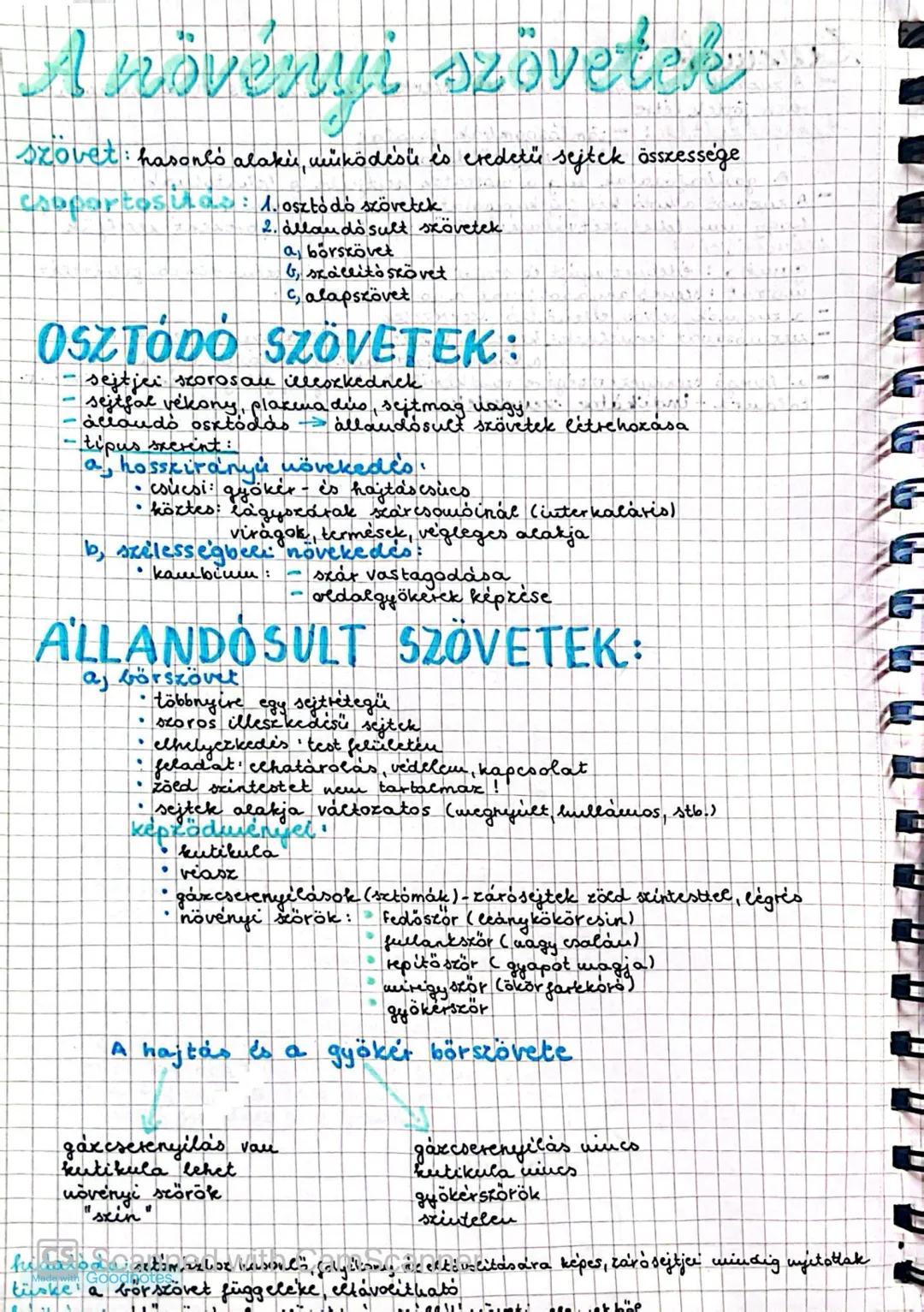 A növényi szövetek
szövet: hasonló alakú, működésű és eredetű sejtek összessége
csoportosítás: 1. osztódó szövetek
2. állandósult szövetek