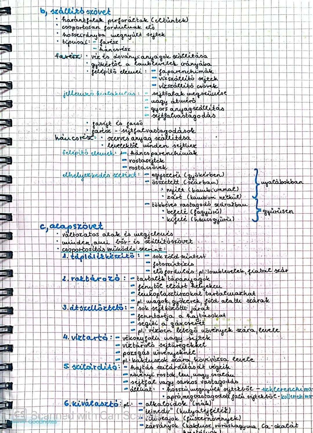 A növényi szövetek
szövet: hasonló alakú, működésű és eredetű sejtek összessége
csoportosítás: 1. osztódó szövetek
2. állandósult szövetek