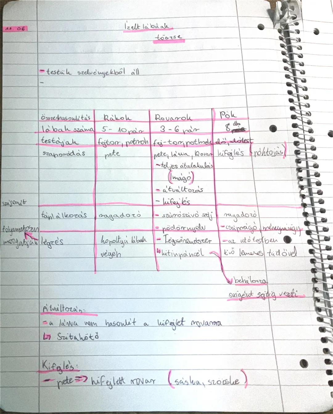 # A4.06
Izelt la bu ak
toorse
- testük szelvényekből all
| Összehasonlítás | Rákok | Rovarok | Pók |
|---|---|---|---|
| lábak száma | 5
