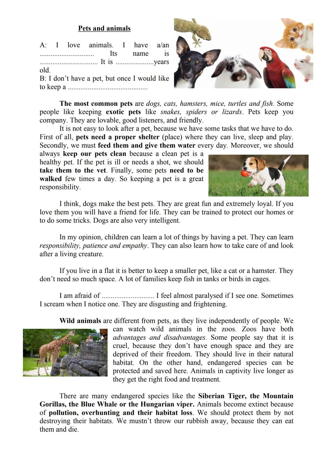 ## Pets and animals
A: I love animals. I have a/an
_____
Its name is
old. It is ____ years
B: I don't have a pet, but once I would like
to k