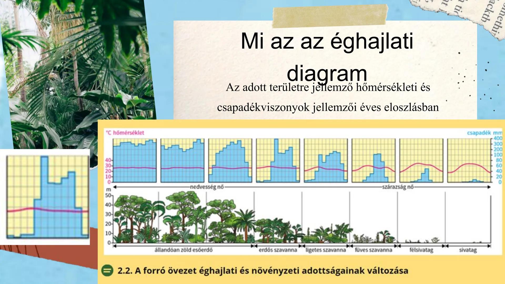 ## Geography
Övezetesség hegyvidéki
trópusi monszun
egyenlítői
szavanna
szubtrópusi monszun
trópusi sivatag
mérsékelt övi sivatag
száraz ko