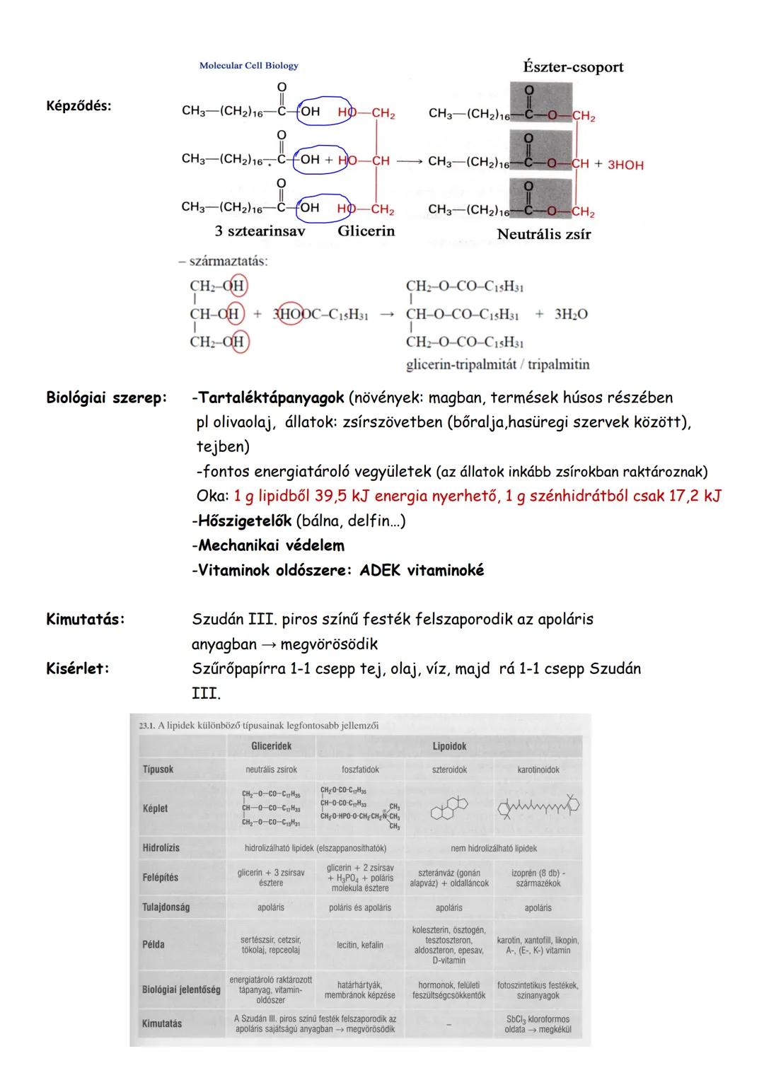 ## Lipidek
Lipid:
Olyan vegyület, mely zsíroldószerekben oldódik.
-vegyületcsoport
Közös tulajdonság:
-apoláris osz-ben (benzol, kloroform