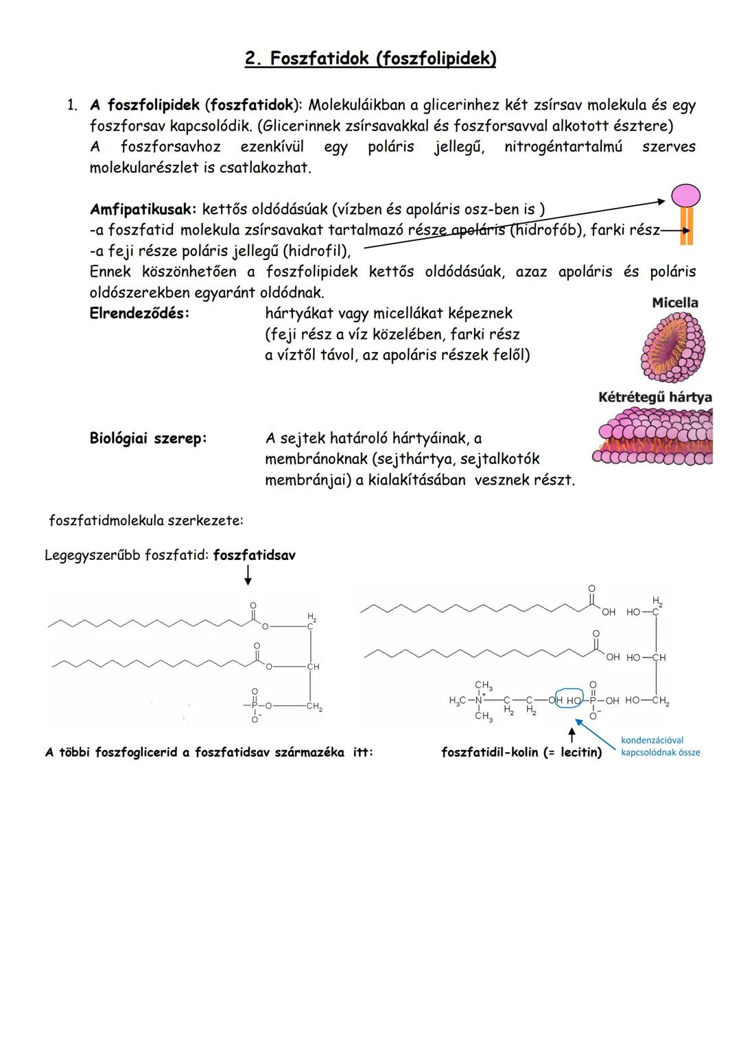 ## Lipidek
Lipid:
Olyan vegyület, mely zsíroldószerekben oldódik.
-vegyületcsoport
Közös tulajdonság:
-apoláris osz-ben (benzol, kloroform