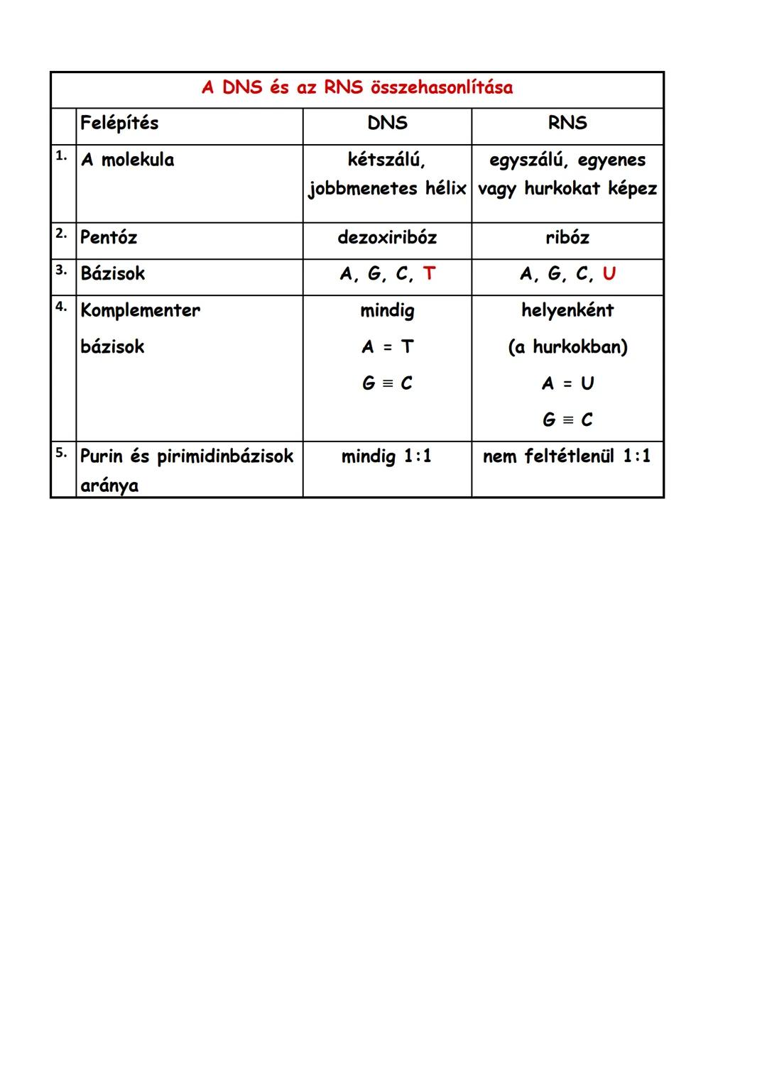 Nukleotidok, nukleinsavak
1. Nukleotidok
Felépítése: a nukleotidok általános felépítése:
Építőegységek: 1. foszforsav
2. pentóz: ribóz vagy
