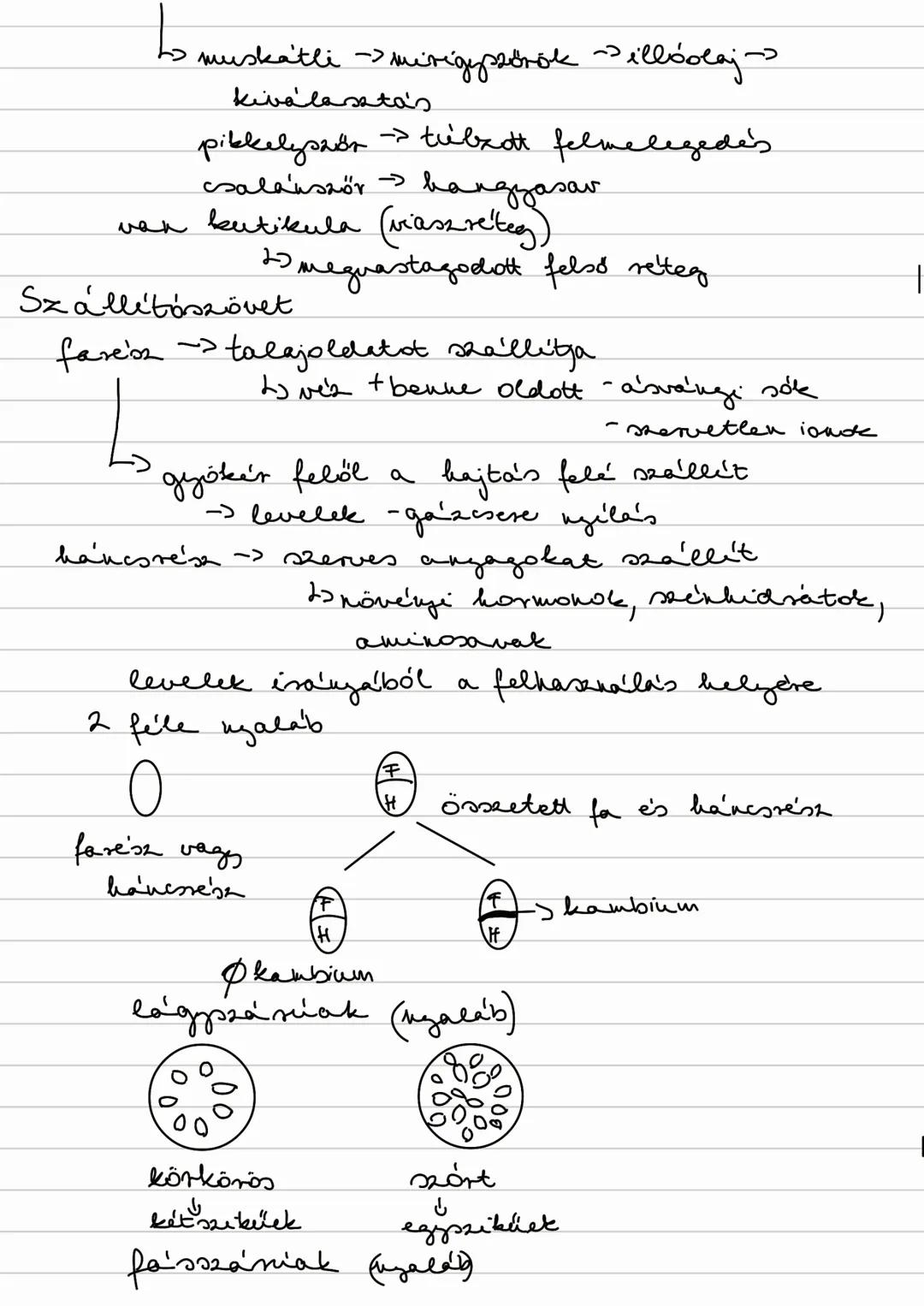 Növények szövetei
002todo szövetek
állandósult szövetet
bömovet Raillitószövet alapraoveret
katrészeiss | asssinibiló vézralé
gyöker
hajtás