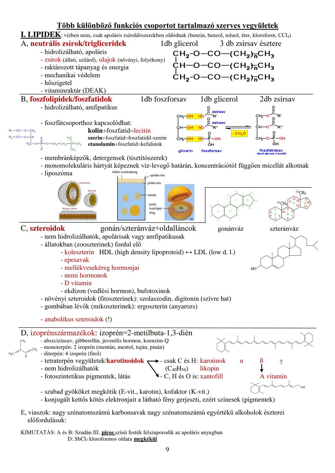 Biokémia alapjai
I. Biogén/organogén elemek (nem helyettesíthetők másik elemmel)
Csoportosításuk:
relativ gyak, szerint
1. primer:
97-98%
H