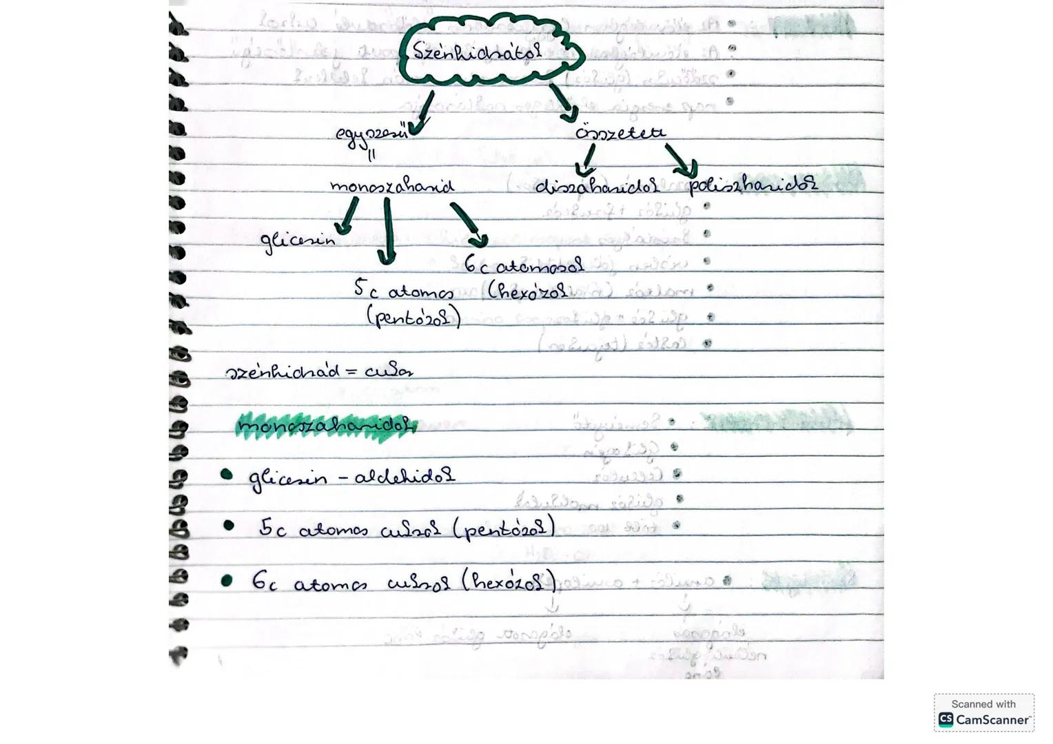 ## Szénhidrátok
egyszerű
monoszacharid
↓
glicerin
5 c atomos
(pentoz)
## Szénhidrát = cukor
monoszaharidok
* glicerin - aldehid
* 5 c