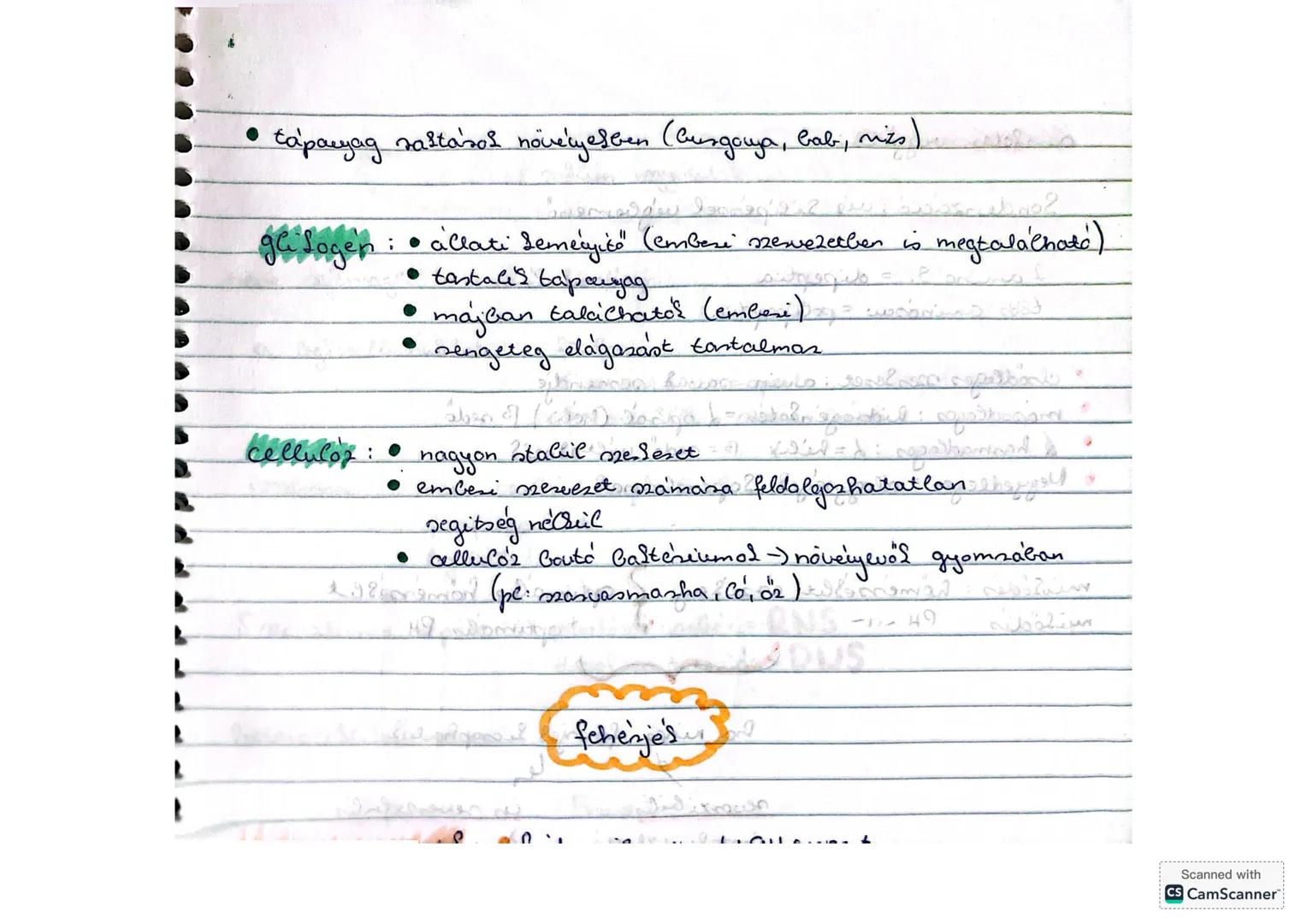 ## Szénhidrátok
egyszerű
monoszacharid
↓
glicerin
5 c atomos
(pentoz)
## Szénhidrát = cukor
monoszaharidok
* glicerin - aldehid
* 5 c