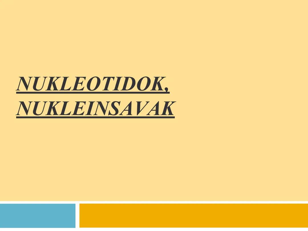 A Nukleoidok Szerepe az Életben