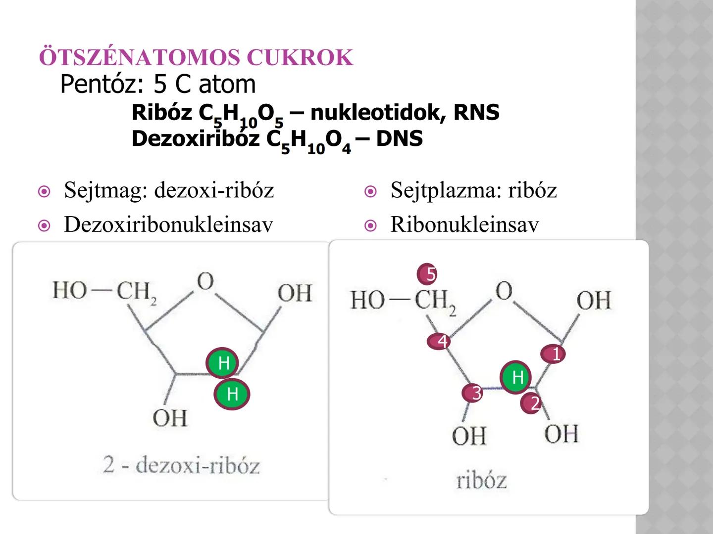 SZÉNIDRÁTOK MEGHATÁROZÁS
• A szénhidrátok (szacharidok. cukrok)
C, H, O tartalmazó szerves vegyületek,
áltálanos képletük C(H₂O)n
• A növény