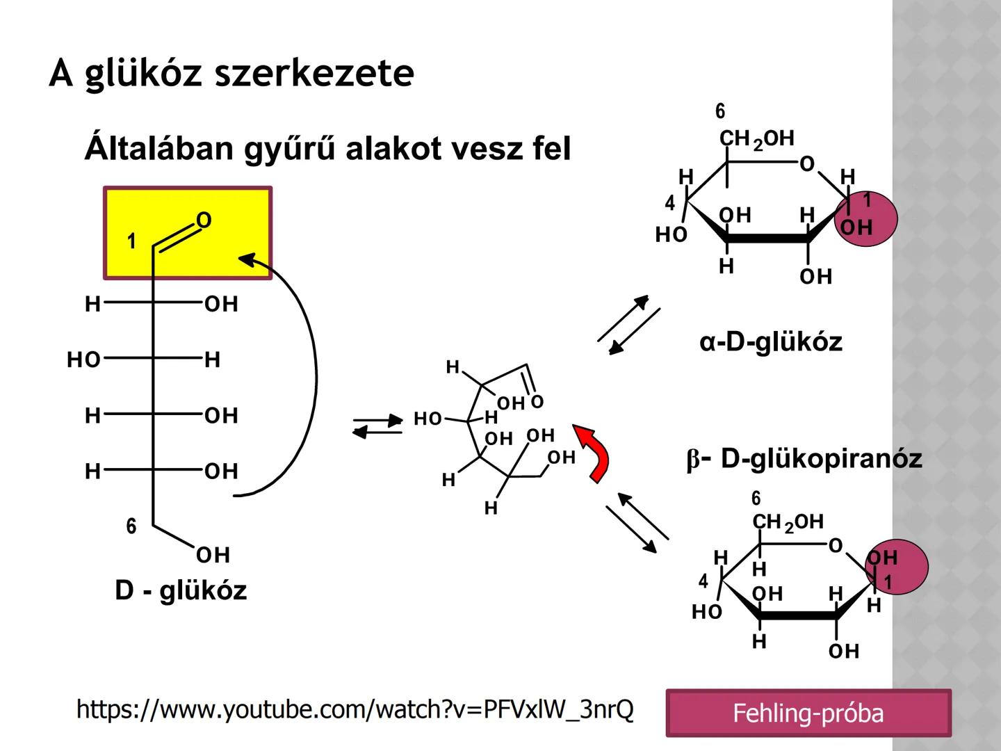 SZÉNIDRÁTOK MEGHATÁROZÁS
• A szénhidrátok (szacharidok. cukrok)
C, H, O tartalmazó szerves vegyületek,
áltálanos képletük C(H₂O)n
• A növény