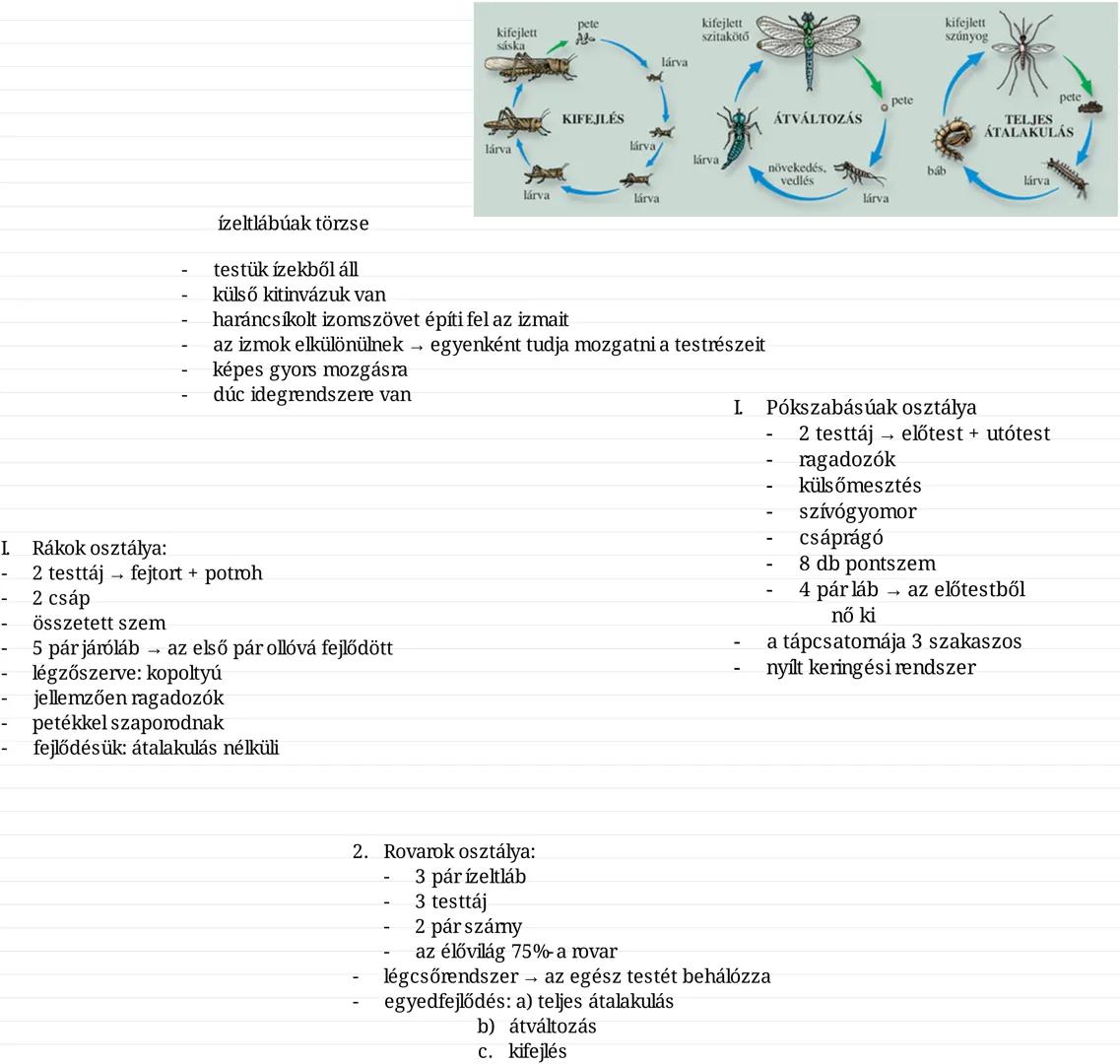 ízeltlábúak törzse
pete
kifejlett
sáska
حلول
kifejlett
szitakötő
lárva
kifejlett
szúnyog
KIFEJLÉS
pete
ÁTVÁLTOZÁS
pete
TELJES
ÁTALAKULÁS
lár