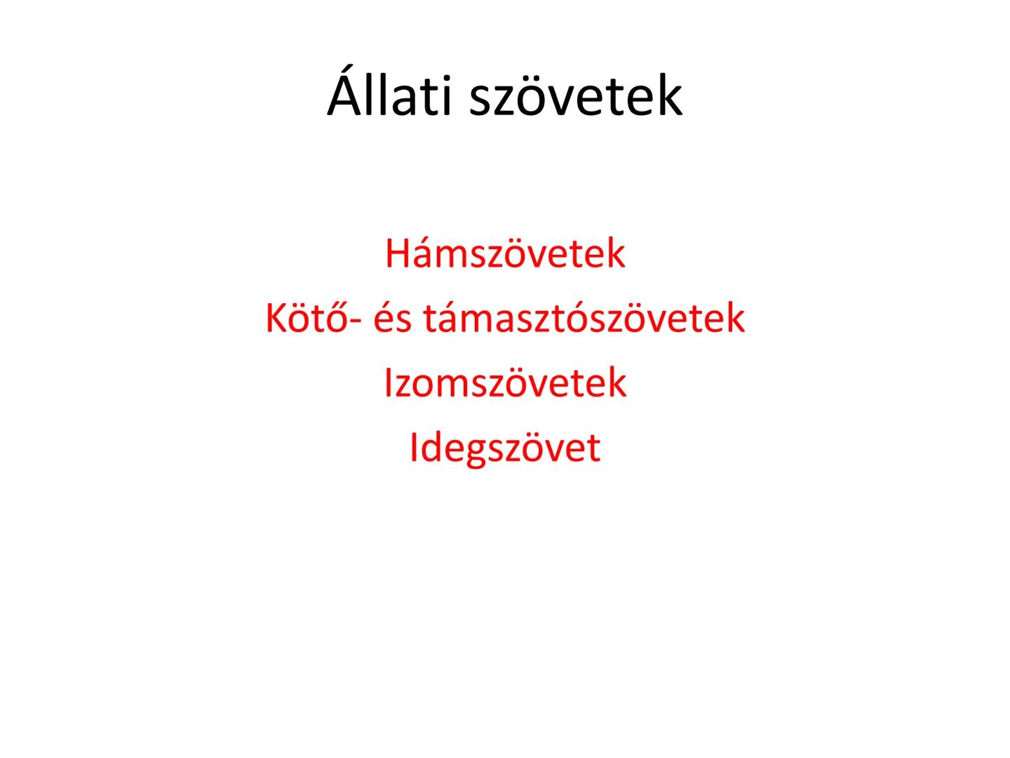 # Állati szövetek
- Hámszövetek
- Kötő- és támasztószövetek
- Izomszövetek
- Idegszövet # Hámszövetek
- Felületeket fednek, lehatárolnak +