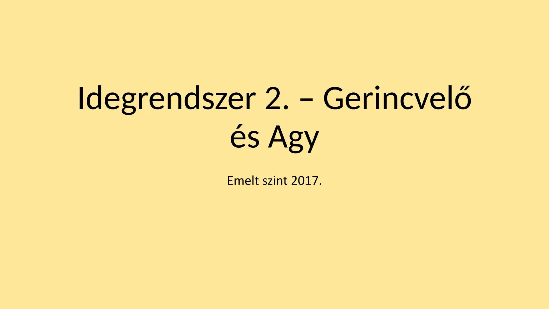 ## Idegrendszer 2. - Gerincvelő
és Agy
Emelt szint 2017. Az idegrendszer általános jellemzése
• Központi idegrendszer: agy és gerincvelő
•