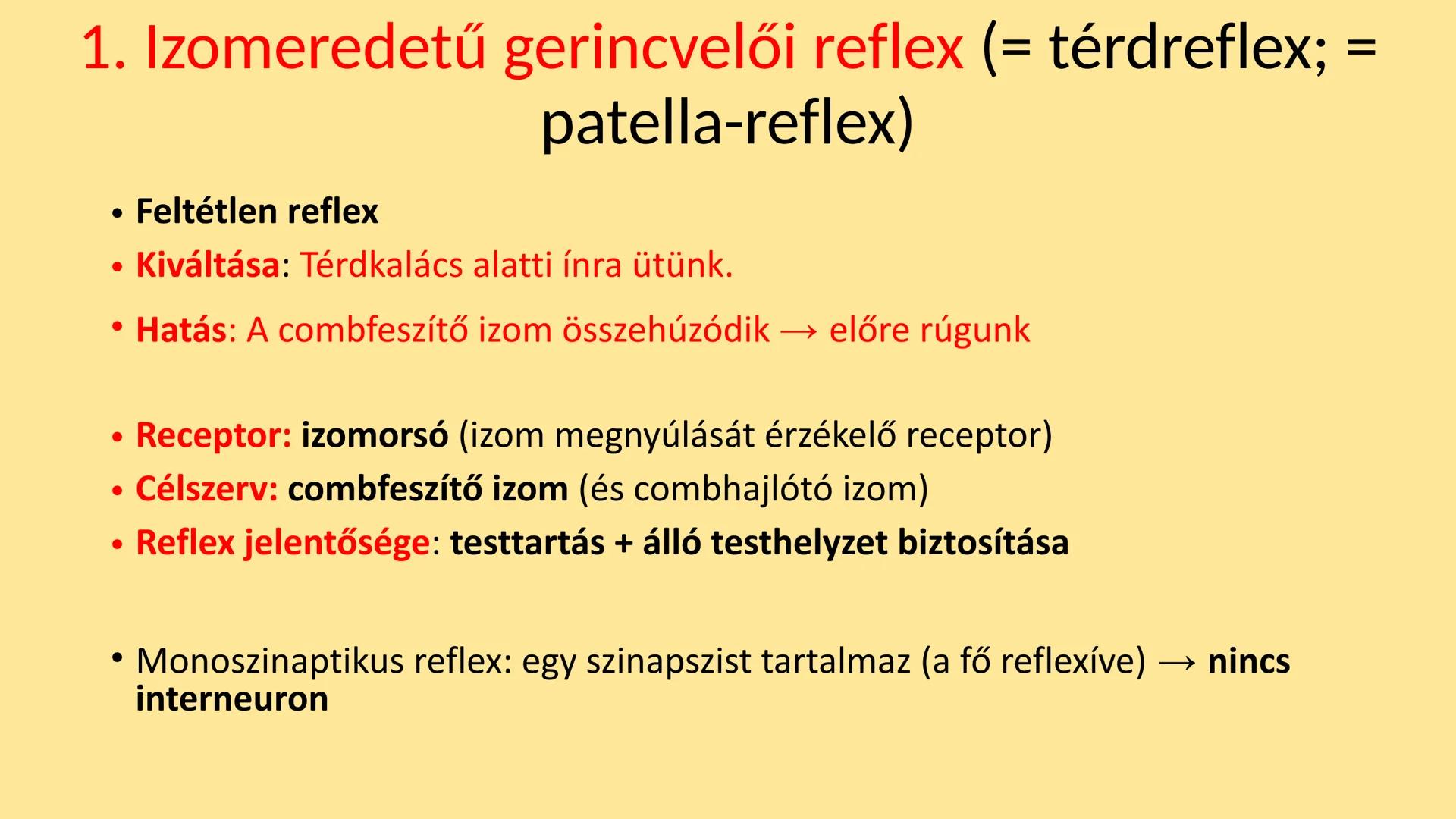 ## Idegrendszer 2. - Gerincvelő
és Agy
Emelt szint 2017. Az idegrendszer általános jellemzése
• Központi idegrendszer: agy és gerincvelő
•