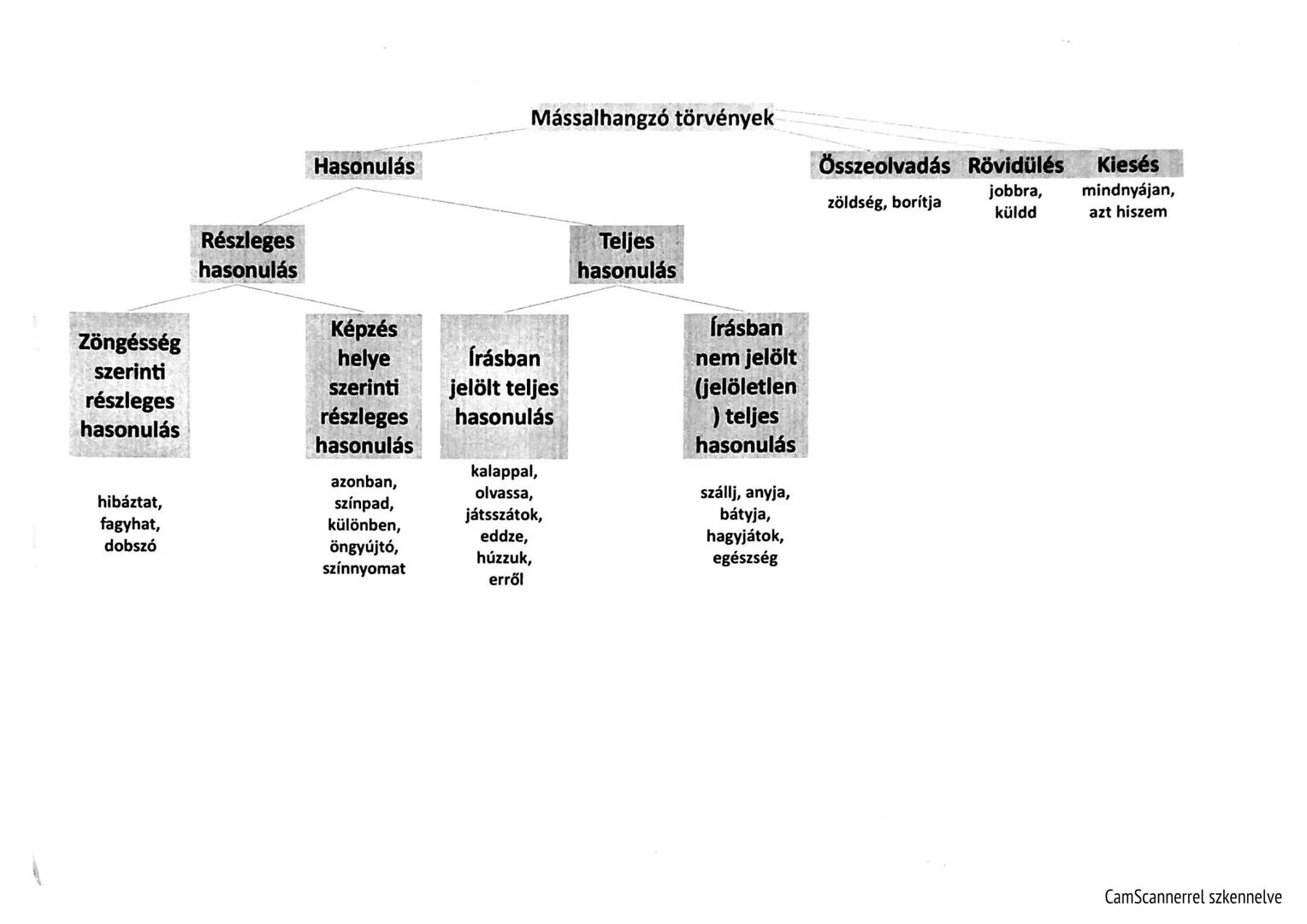 Mássalhangzó törvények
Hasonulás
Összeolvadás Rövidülés Kiesés
zöldség, borítja
jobbra,
küldd
mindnyájan,
azt hiszem
Részleges
hasonulás