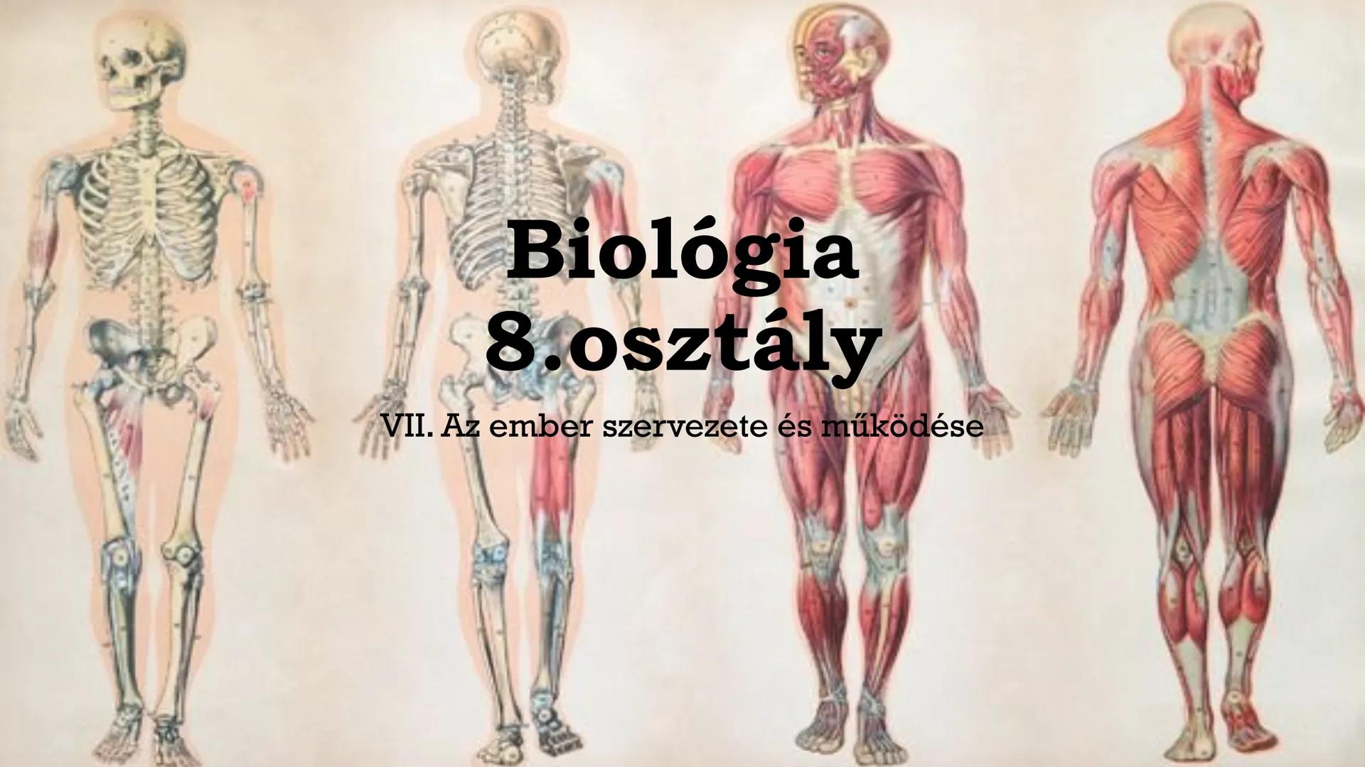 # Biológia
## 8.osztály
VII. Az ember szervezete és működése # Fontos tudnivalók!
• Füzet: A4-es, simalapú (színes ceruza vagy filc)
• Röpd