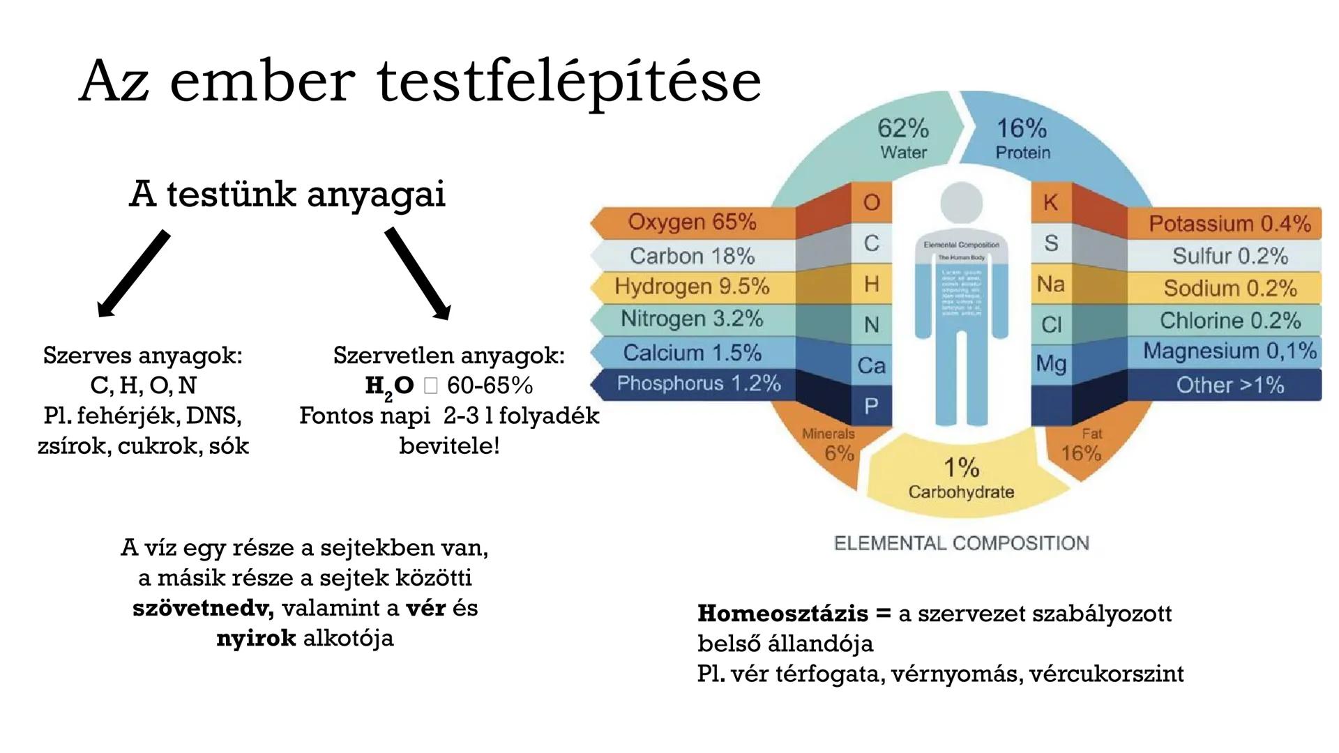 # Biológia
## 8.osztály
VII. Az ember szervezete és működése # Fontos tudnivalók!
• Füzet: A4-es, simalapú (színes ceruza vagy filc)
• Röpd
