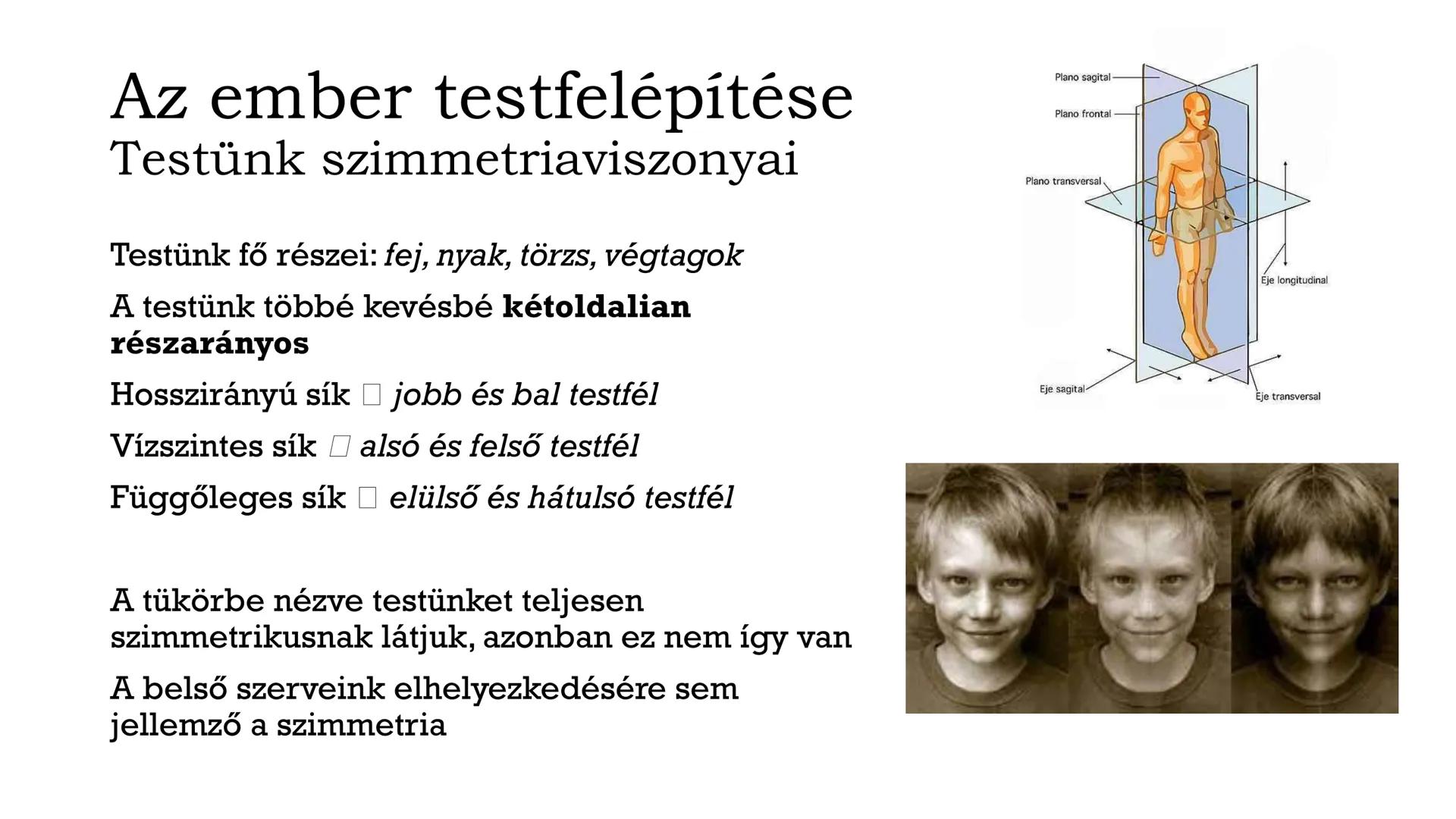 # Biológia
## 8.osztály
VII. Az ember szervezete és működése # Fontos tudnivalók!
• Füzet: A4-es, simalapú (színes ceruza vagy filc)
• Röpd