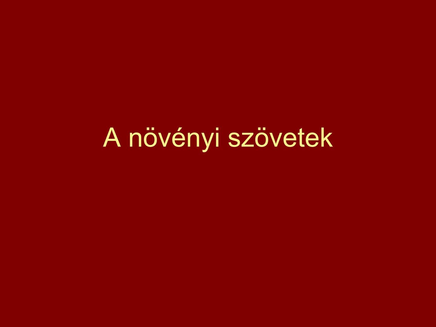 # A növényi szövetek I. Szövet: azonos működésű, azonos alakú,
közös eredetű sejtek csoportja
II. Csoportosítás:
1.) Osztódó szövetek
2.) Ál