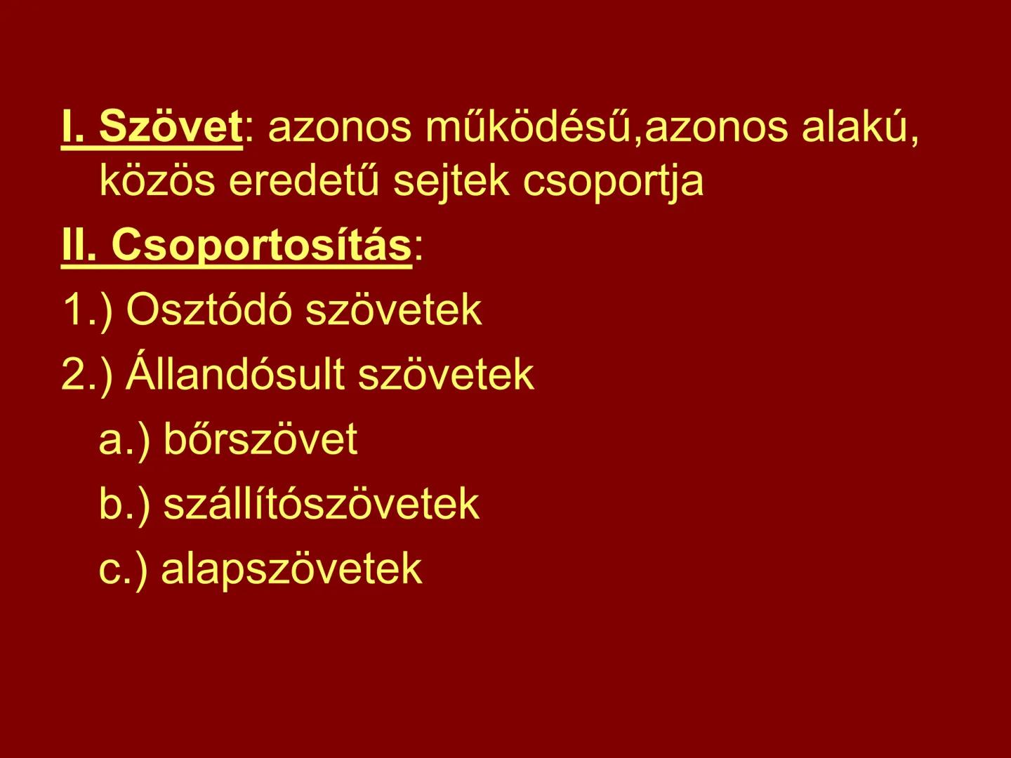 # A növényi szövetek I. Szövet: azonos működésű, azonos alakú,
közös eredetű sejtek csoportja
II. Csoportosítás:
1.) Osztódó szövetek
2.) Ál